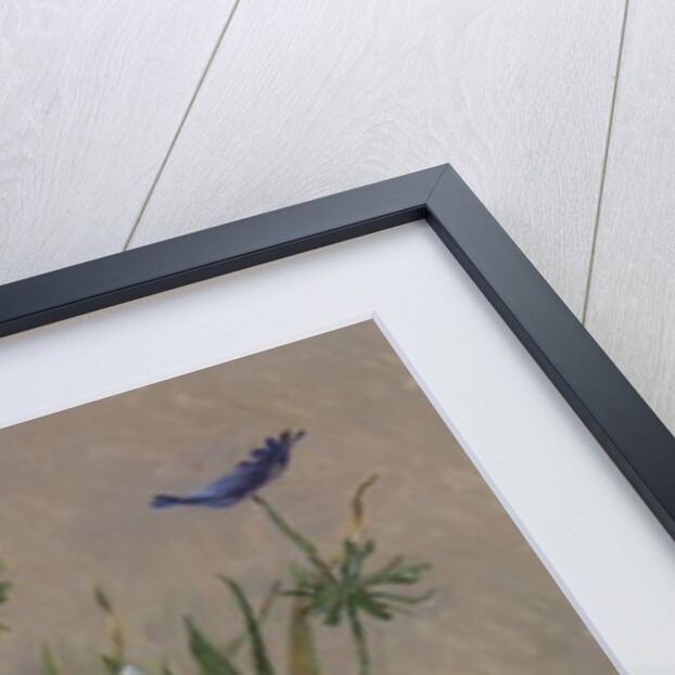 Floating Free, 2014 by William Packer