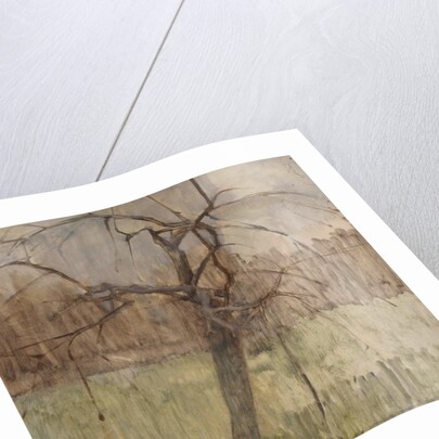 Apple Tree, 1963 by William Packer