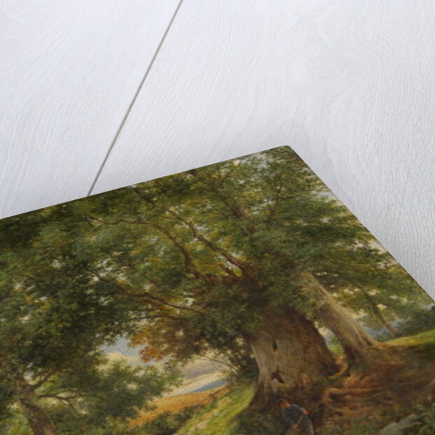 A Trout Stream near Worcester, 1866 by Henry Chaplin