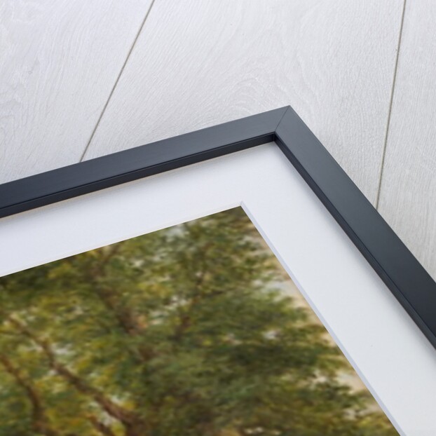 A Trout Stream near Worcester, 1866 by Henry Chaplin