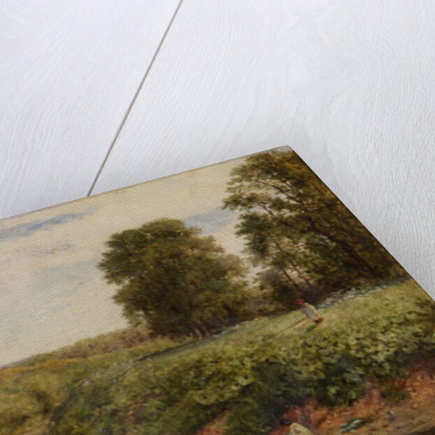 On the Teme at Worcester, 1855 by Benjamin Williams Leader