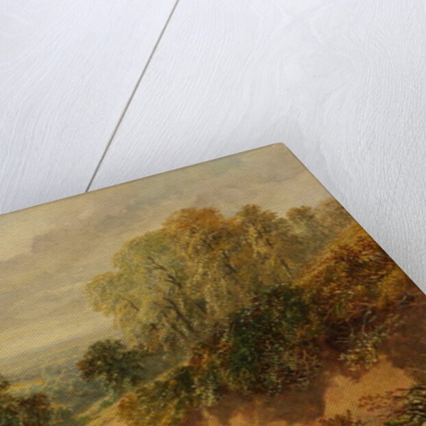 On the Heath at Old Storridge, Worcestershire by Henry Harris Lines