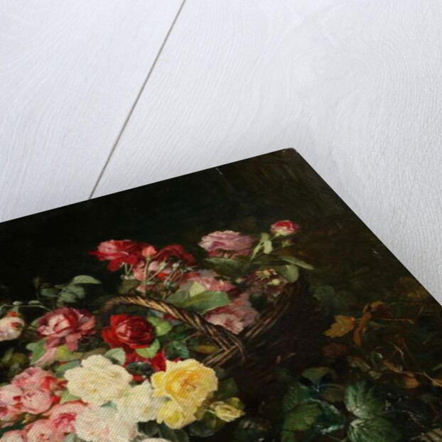 Roses by Dominique Herbert Rozier