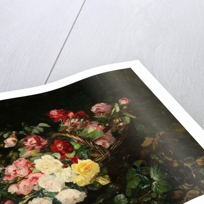 Roses by Dominique Herbert Rozier