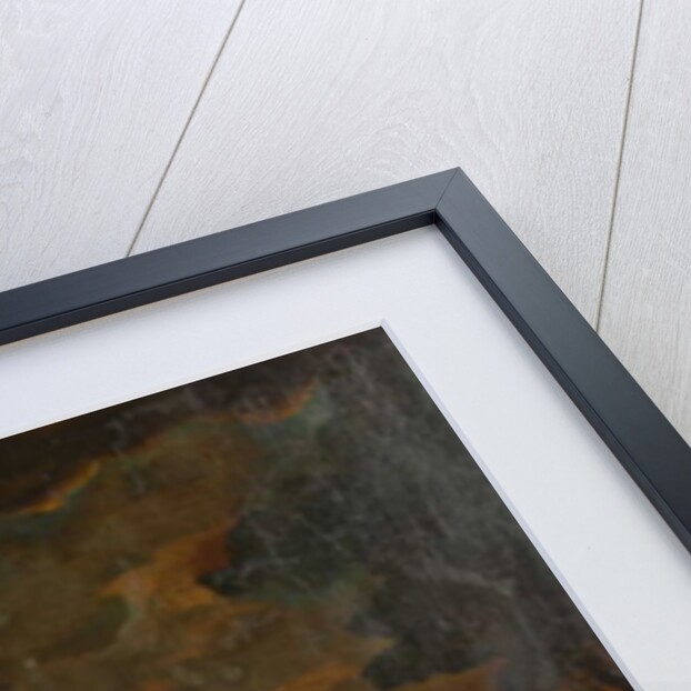 View of Worcester, c.1740 by Unknown artist