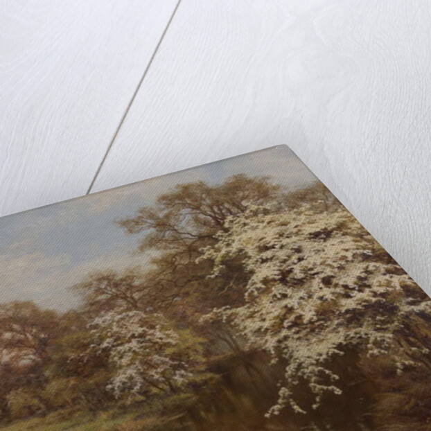 Hawthorn Blossom by Edward Wilkins Waite