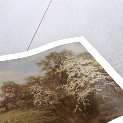 Hawthorn Blossom by Edward Wilkins Waite