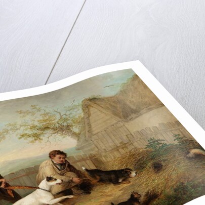 Rat Catching by Thomas Woodward