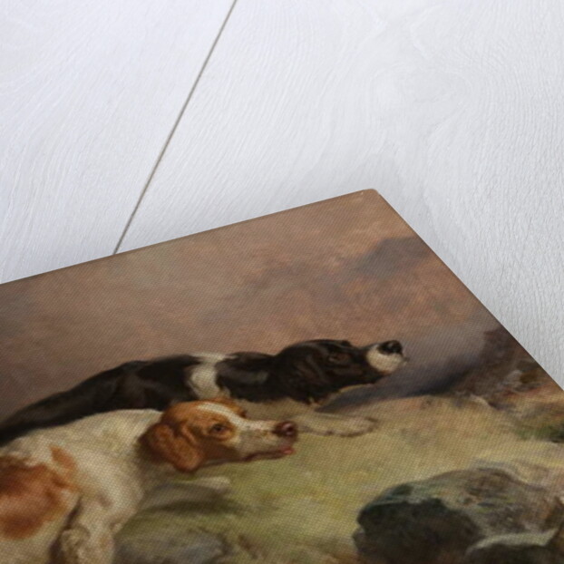 Sandters on the Moor by Thomas Woodward