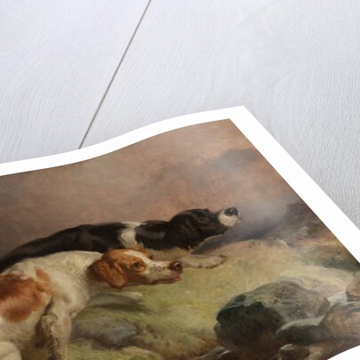 Sandters on the Moor by Thomas Woodward