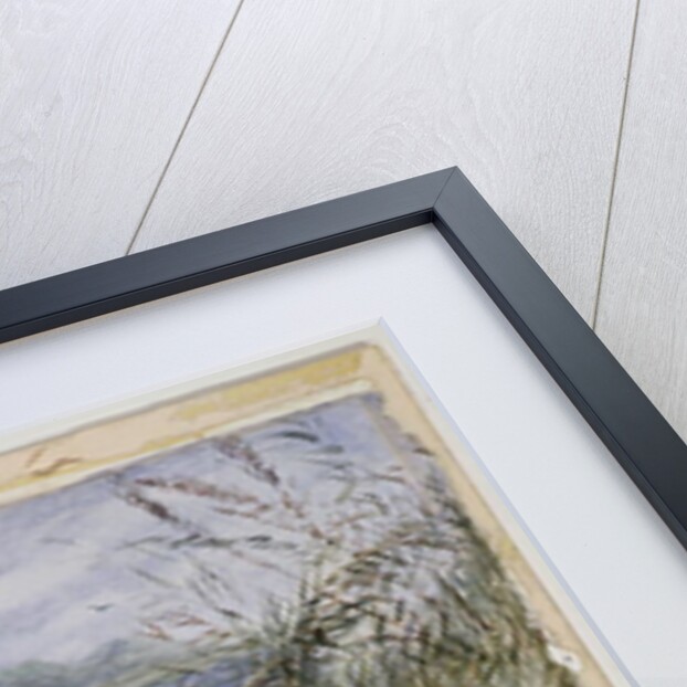 An Amazing Incident showing a Jack Pike of 6lbs attempting to swallow a Barbel of 1 3/4lbs found on Monkey Island, 1895 by F.J. Lees