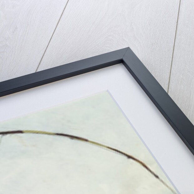 Mr Lovejoy's Holiday Trip to the Highlands Salmon Trout Fishing by Ernest Henry Griset