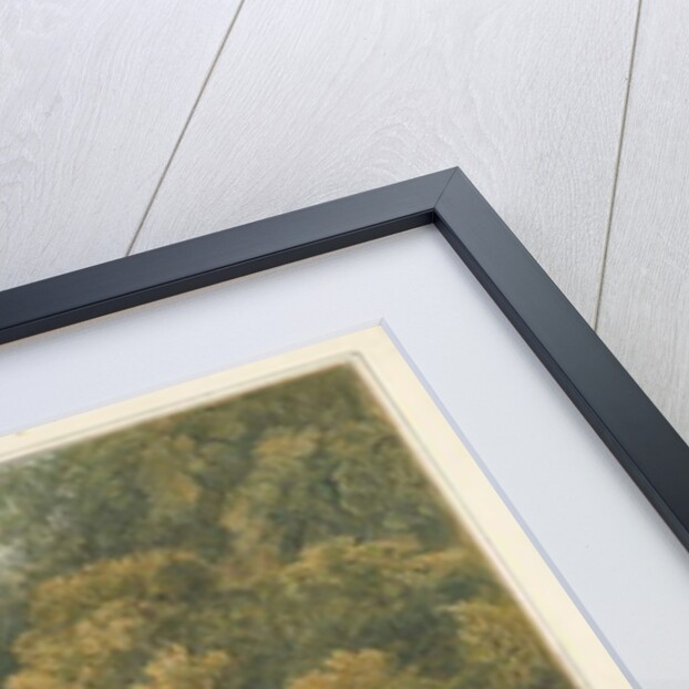 Middlesex - Twickenham - Pope's Grotto, 1826 by John Buckler