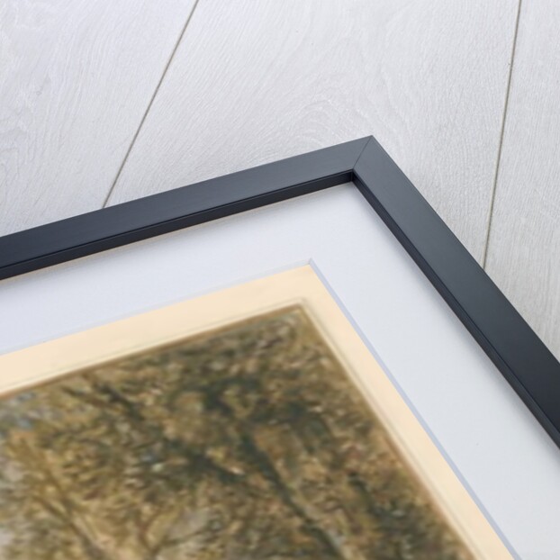 Somerset - Batheaston Villa Garden, 1827 by John Chessell Buckler