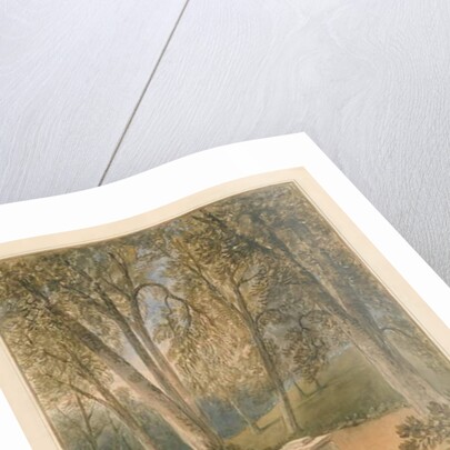 Somerset - Batheaston Villa Garden, 1827 by John Chessell Buckler