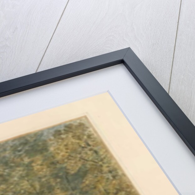 Surrey - Ham Walk and House, 1830 by John Buckler