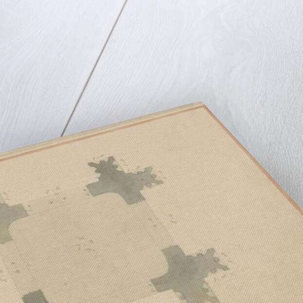 Wiltshire - Salisbury Cathedral - Porch, 1800 by John Buckler