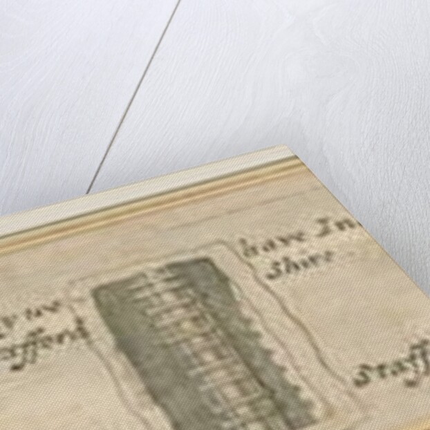 Abbots Bromley: engraved strips of sections of fossil stones, nd. [?19th cent] by Anonymous Anonymous