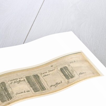 Abbots Bromley: engraved strips of sections of fossil stones, nd. [?19th cent] by Anonymous Anonymous