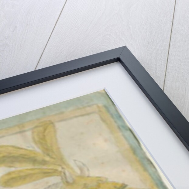 Abbots Bromley - Window Glass at Hall Hill: coloured pencil sketch, nd [?18th cent] by Stebbing Shaw