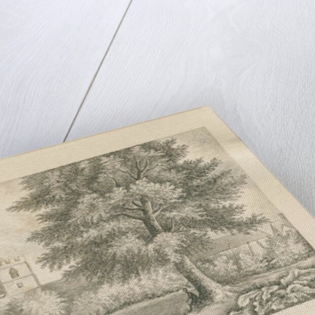 Aldridge Church: pen and wash drawing, nd [19th cent] by John Robert Fernyhough