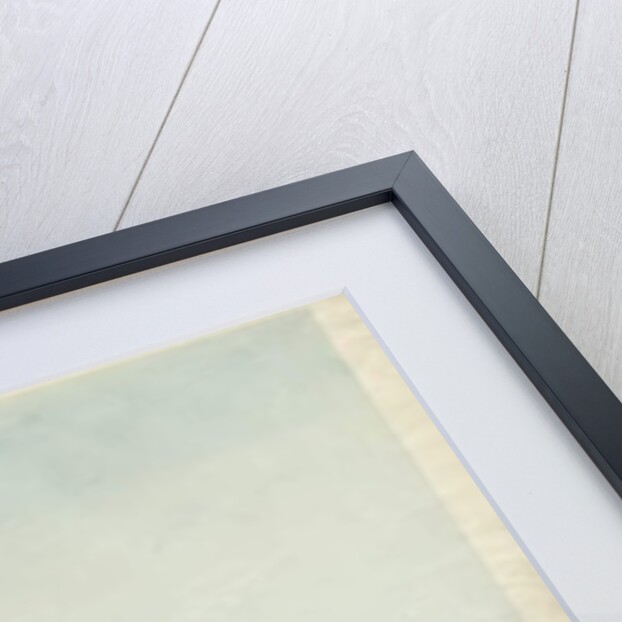 Alton 'Abbey': coloured aquatint engraving, nd [1810s] by Thomas Allason