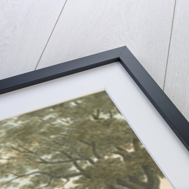 Arley Hall by Robert Noyes