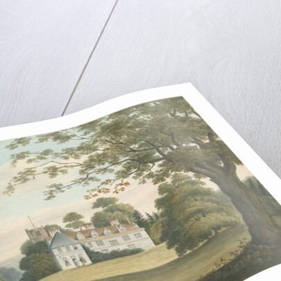 Arley Hall by Robert Noyes