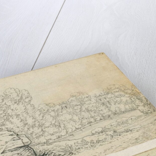 Armitage Park by John Allport