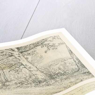 Armitage Park: pen drawing, 1814 by John Allport