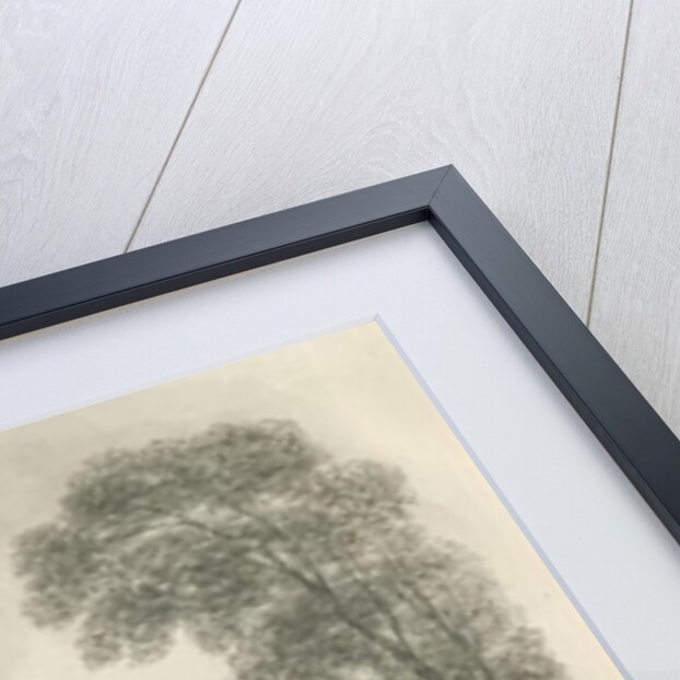 Stone - Aston Hall by John Buckler