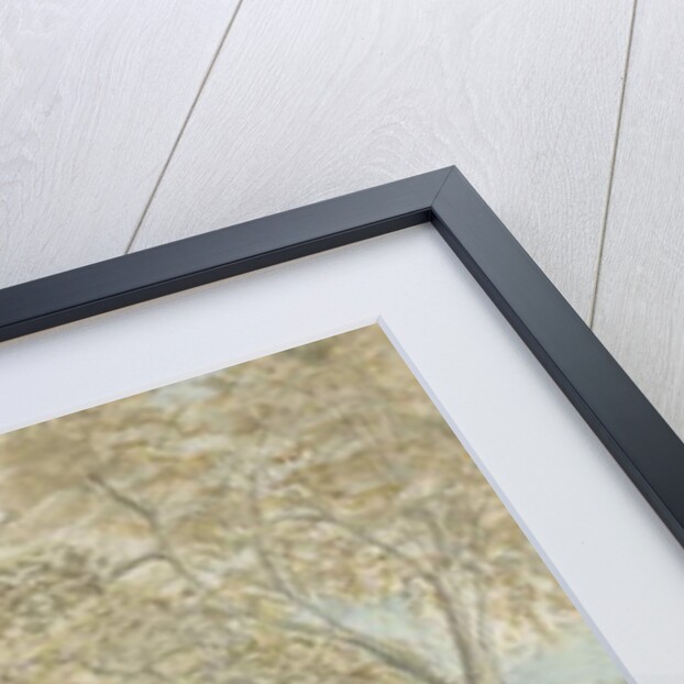 Great Barr Chapel by Stebbing Shaw