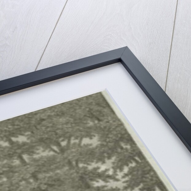 Great Barr Chapel: engraving, nd [1762-1802] by Stebbing Shaw