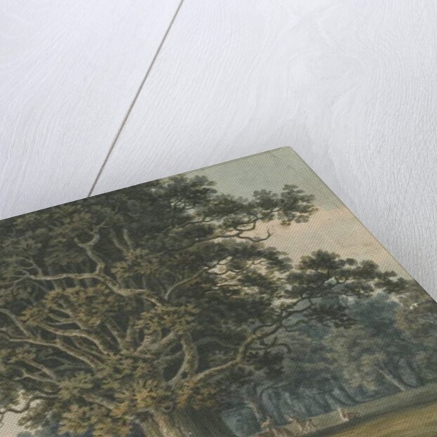 Needwood - Swilcar Oak by H Moore