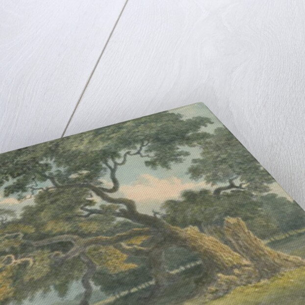 Needwood - Oak Tree by School English