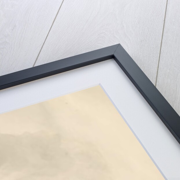 Baswich Village - house of John Stevenson Salt, Esq. : sepia drawing, 1841 by John Buckler