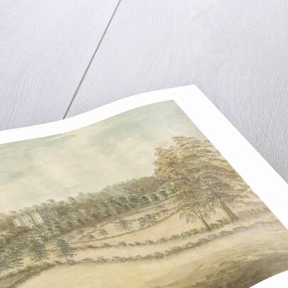 Beaudesert Hall and Park by Stebbing Shaw