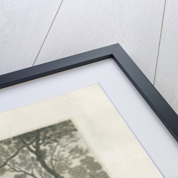 Beaudesert Hall and Park by Frederick Calvert