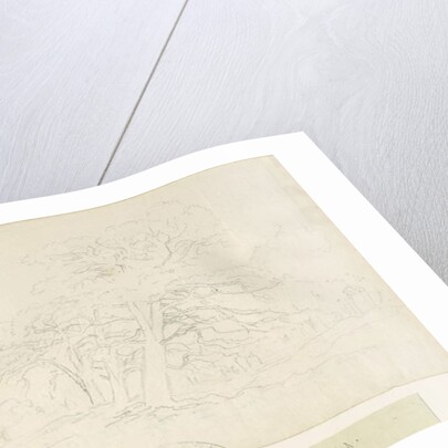 Beaudesert Park: pencil drawing, nd [1788-1855] by Henry Curzon Allport