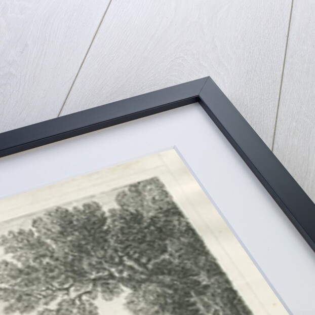 Eccleshall - Biana Hall: pen and ink drawing, nd [c 1830] by School English