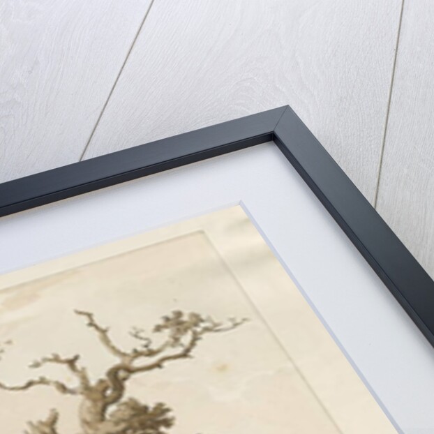 Eccleshall - Baden Old Hall by Thomas Peploe Wood