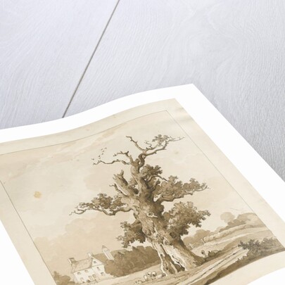 Eccleshall - Baden Old Hall by Thomas Peploe Wood