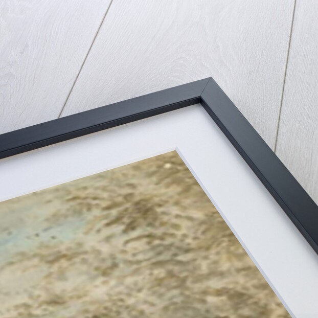 Eccleshall - Biana Hall by Stebbing Shaw