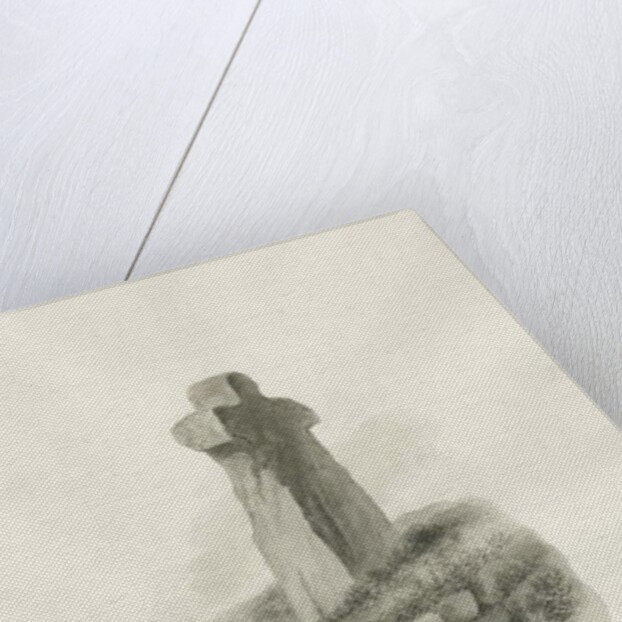 Biddulph Hall - cross : sepia drawing, 1847 by John Buckler