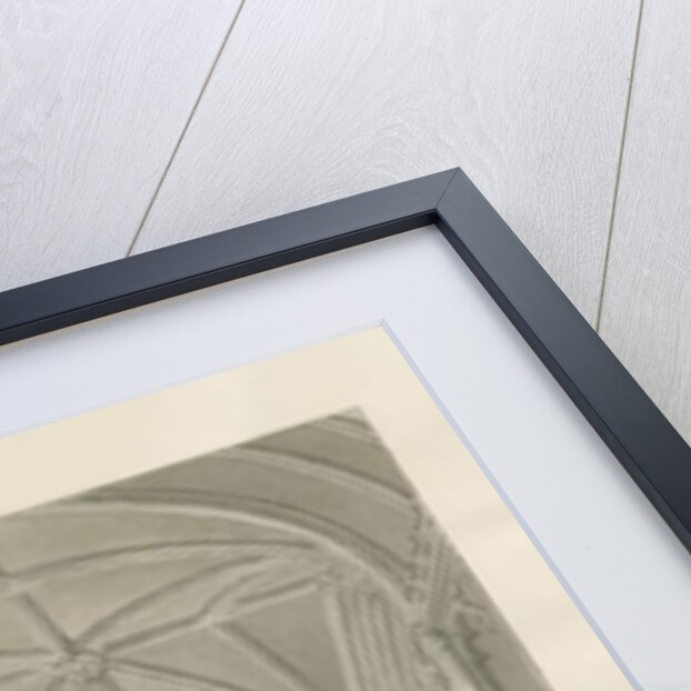 Blithfield Hall - Cloisters: sepia drawing, 1823 by John Buckler