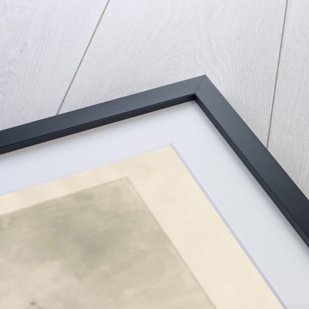 Blithfield Hall by John Buckler