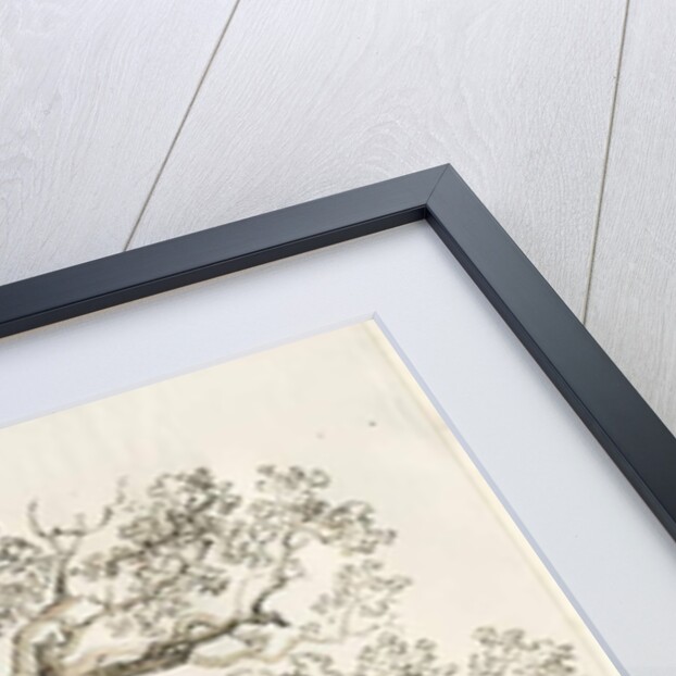 Blithfield - Squitch Oak : pen and wash, 1837 by Thomas Peploe Wood