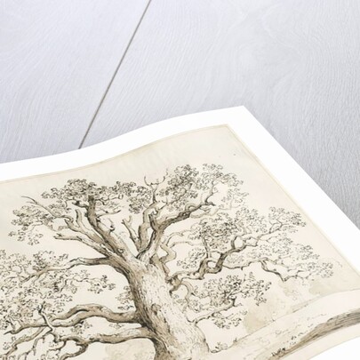 Blithfield - Squitch Oak : pen and wash, 1837 by Thomas Peploe Wood