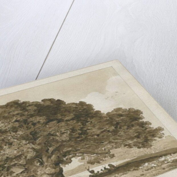 Blithfield - Beggar's Oak : sepia drawing, 1837 by Thomas Peploe Wood