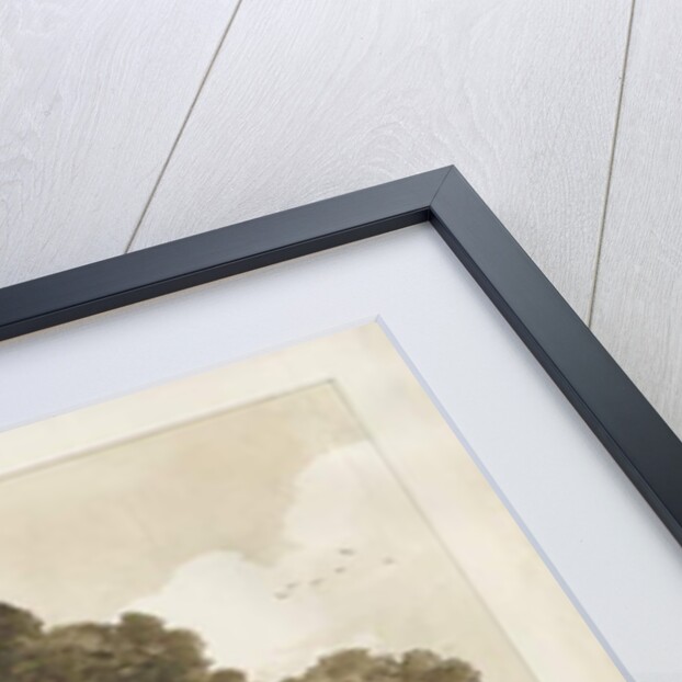 Blithfield - Beggar's Oak : sepia drawing, 1837 by Thomas Peploe Wood